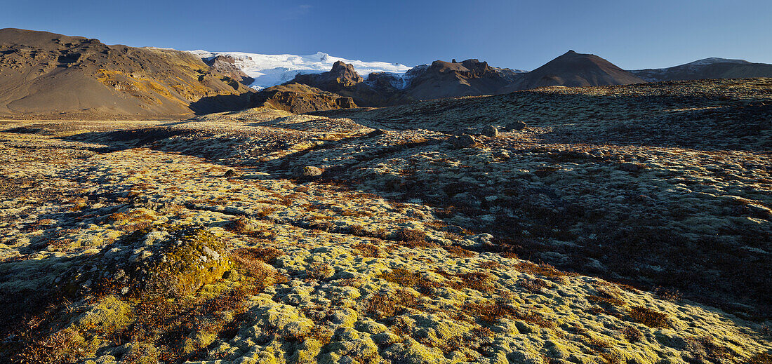 moosbedeckter Boden, Falljökull, Hvannadalshnjúkur, Öraefajökull, Ostisland, Island