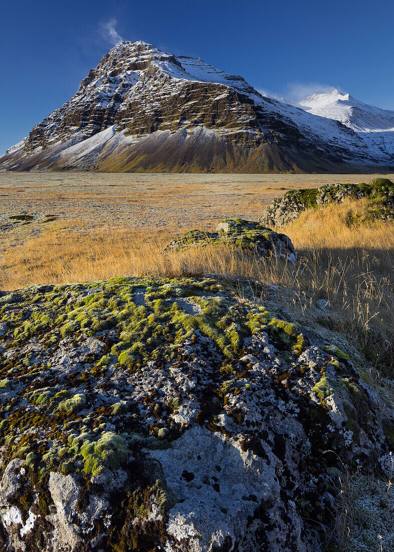 mit Moos bedeckte Steine, Fellsfjall, Midfellstidur, Sudursveit, Ostisland, Island