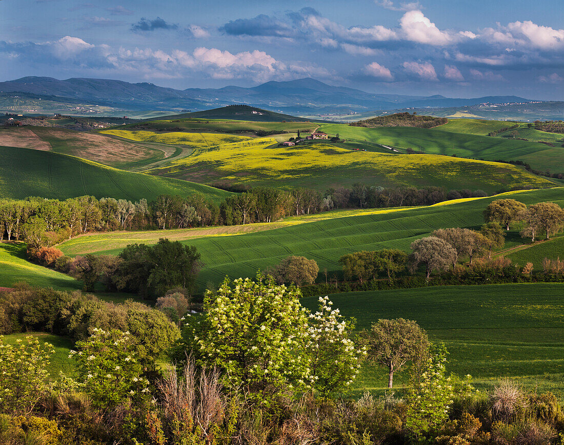 View over the Orcia valley near San Quirico DOrcia, Tuscany, Italy