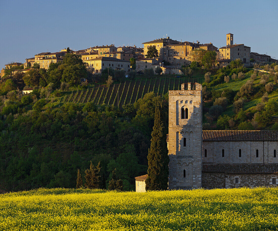 Sant Antimo Abbey with houses in the background, Castel Dellabate, Tuscany, Italy
