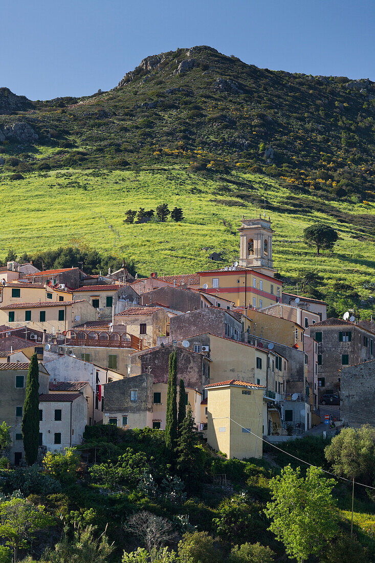 View of the houses, Rio Nellelba, Livorno, Tuscany, Italy