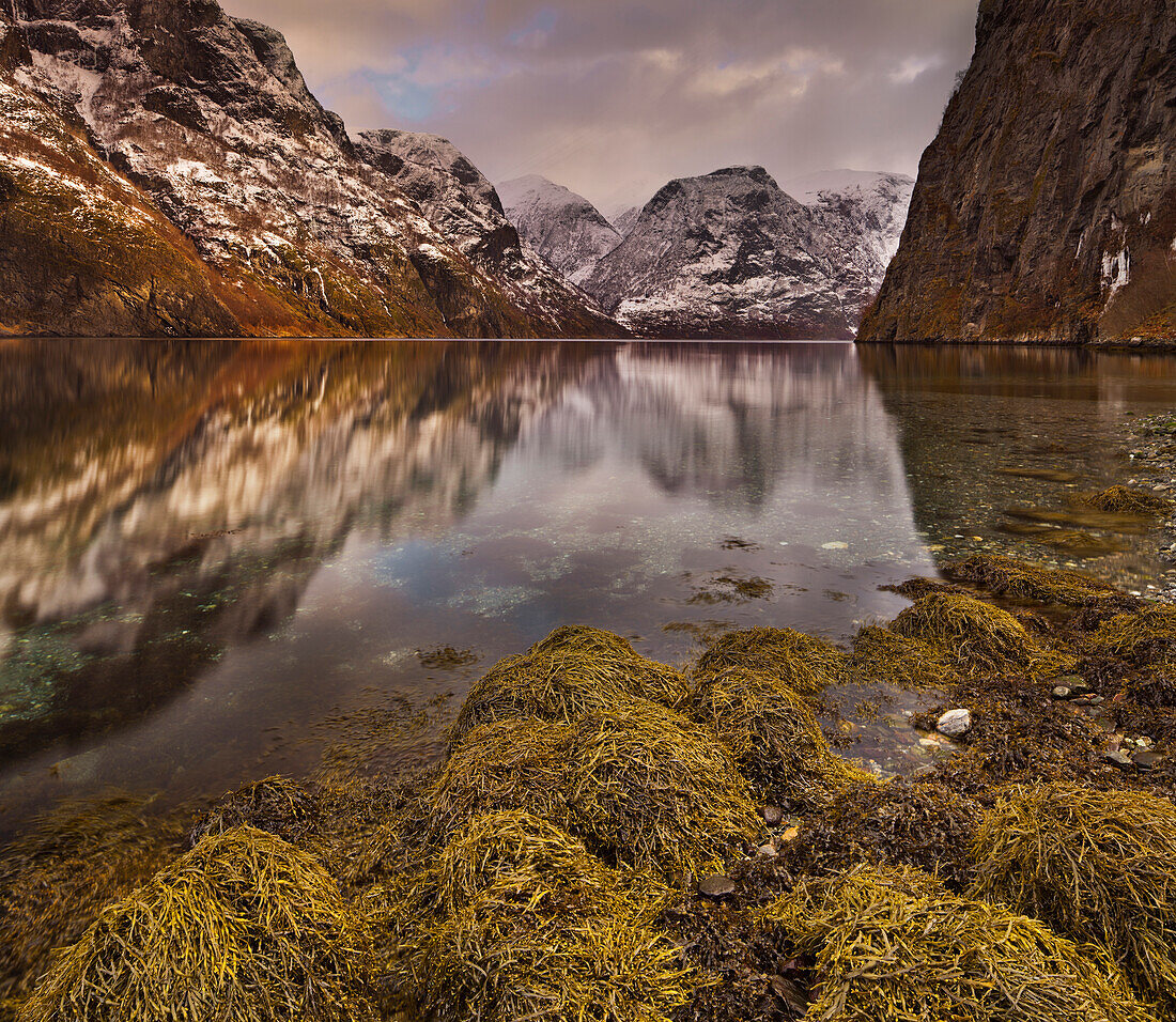 Reflection of mountains in the fjord, Aurlandsfjord near Undredal, Sogn og Fjordane, Norway