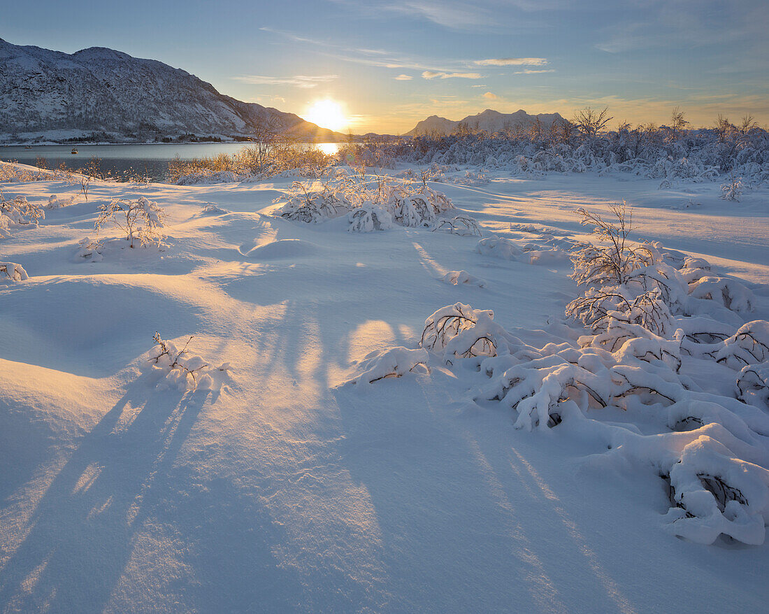 verschneite Landschaft am Austnesfjorden, Austvagoya, Lofoten, Nordland, Norwegen