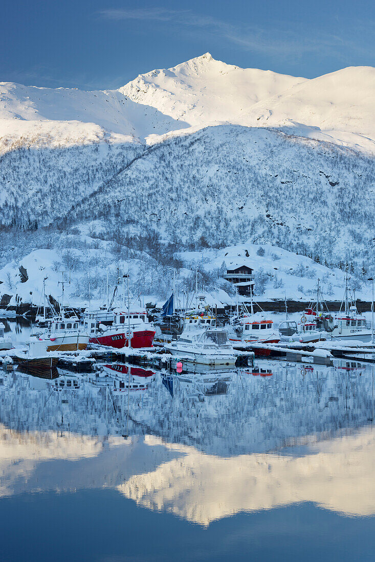 Hafen von Sildpollneset, Vestpollen, Austnesfjorden, Austvagoya, Lofoten, Nordland, Norwegen