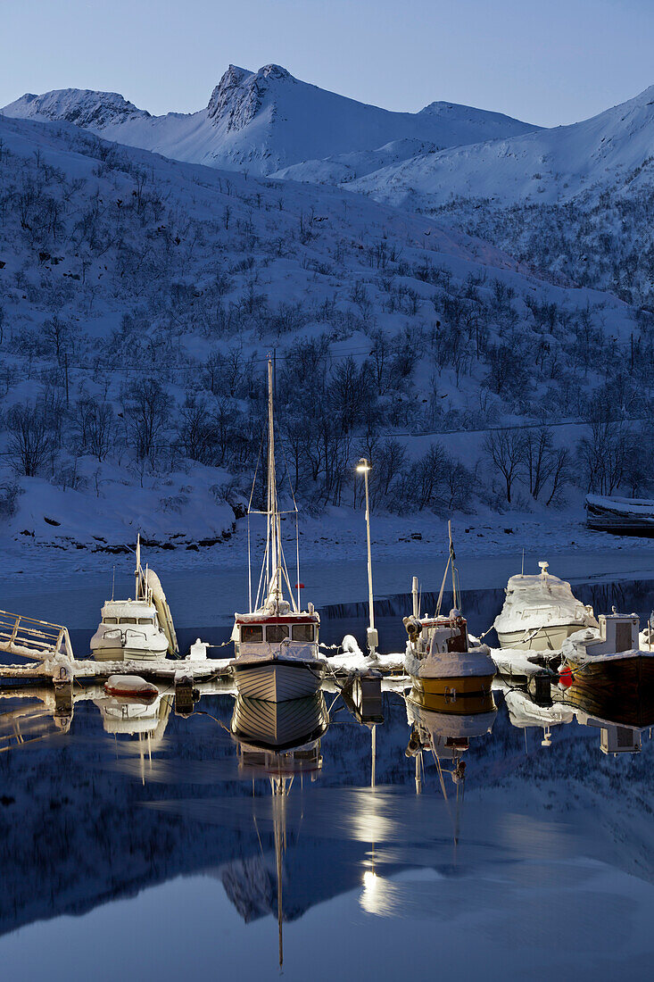 Sildpollneset harbour, Vestpollen, Austnesfjorden, Austvagoya, Lofoten, Nordland, Norway