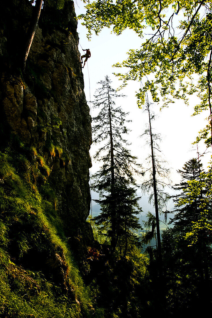 Climber on a rock, Salzkammergut, Styria, Austria