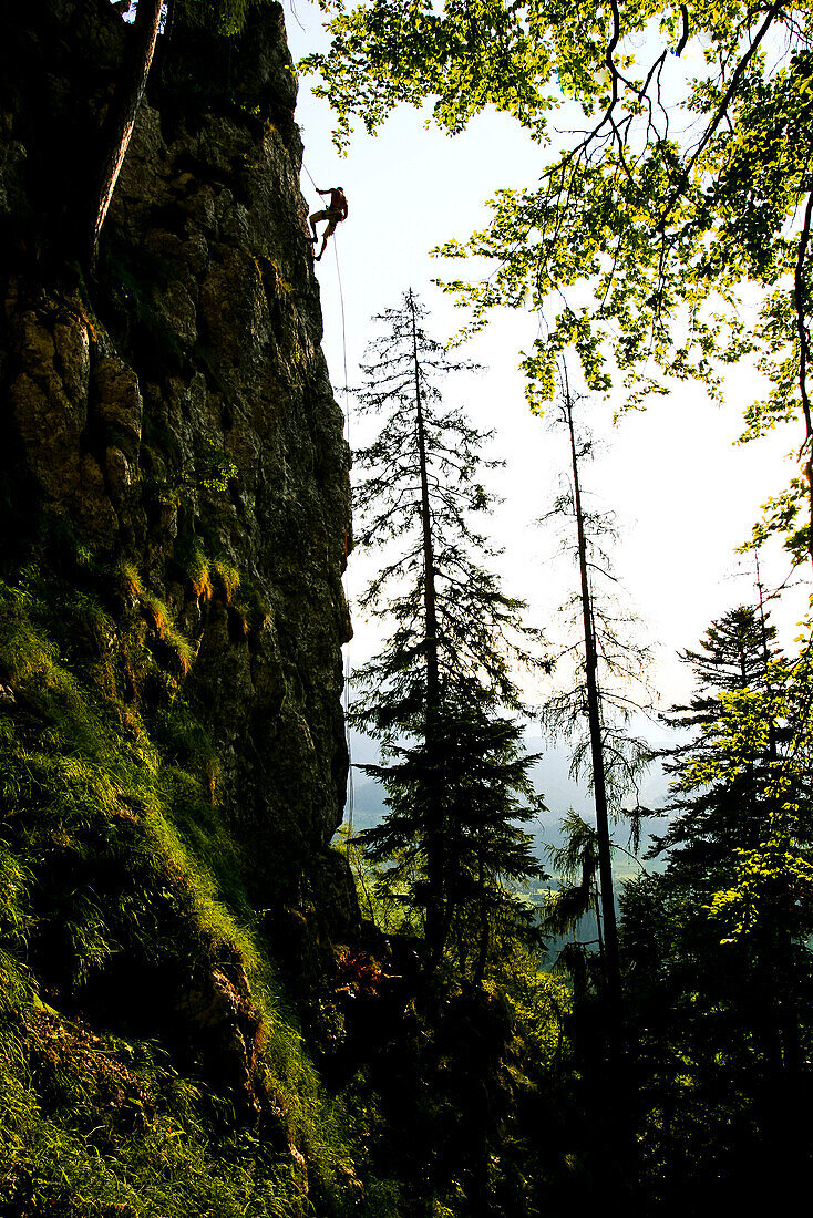 Kletterer an einer Felswand, Salzkammergut, Steiermark, Österreich