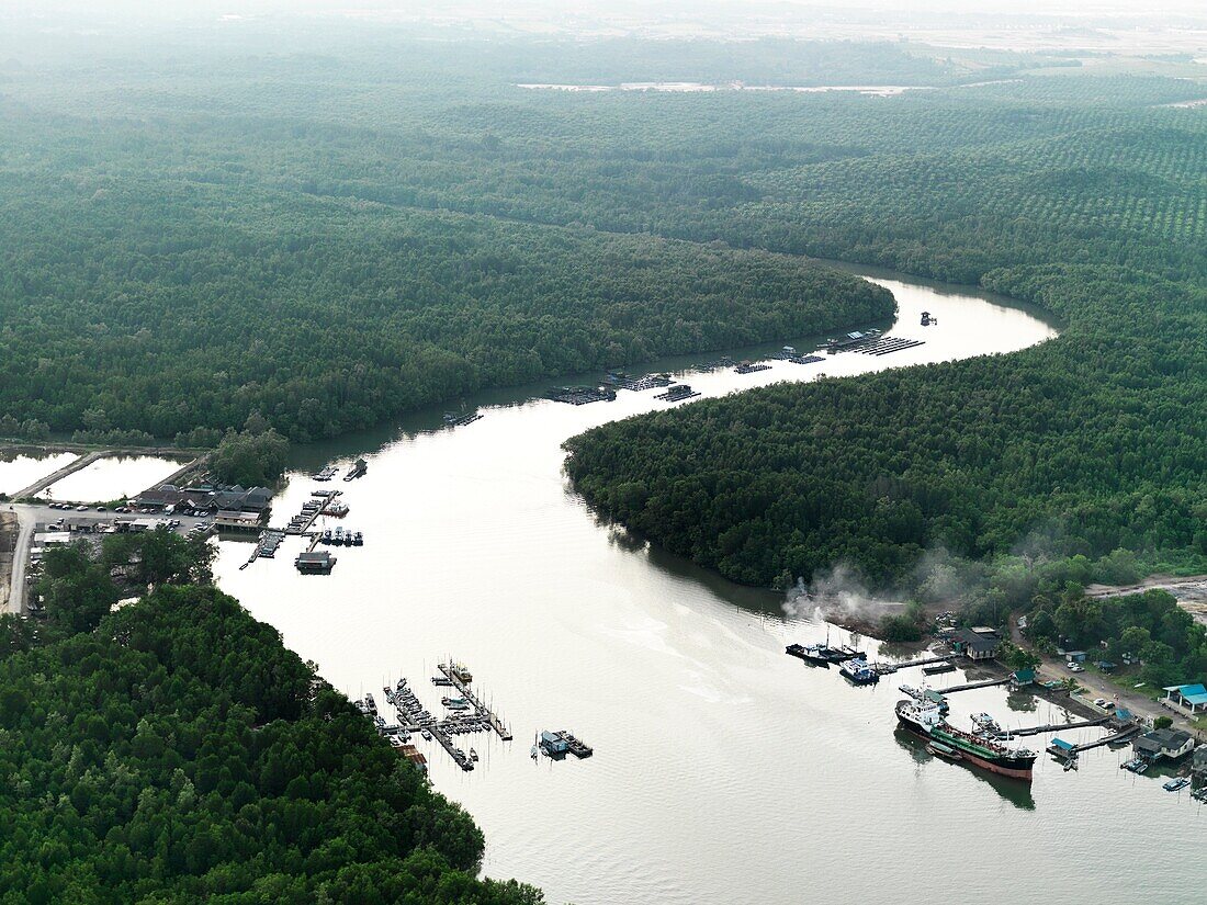 A winding river and boats cutting through the Jungle