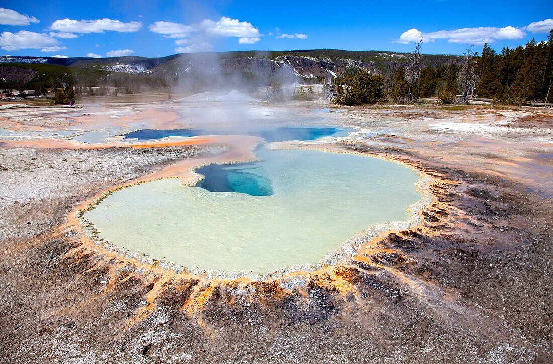 Upper Geyser Basin, Yellowstone National Park, Wyoming/Montana, Idaho, USA