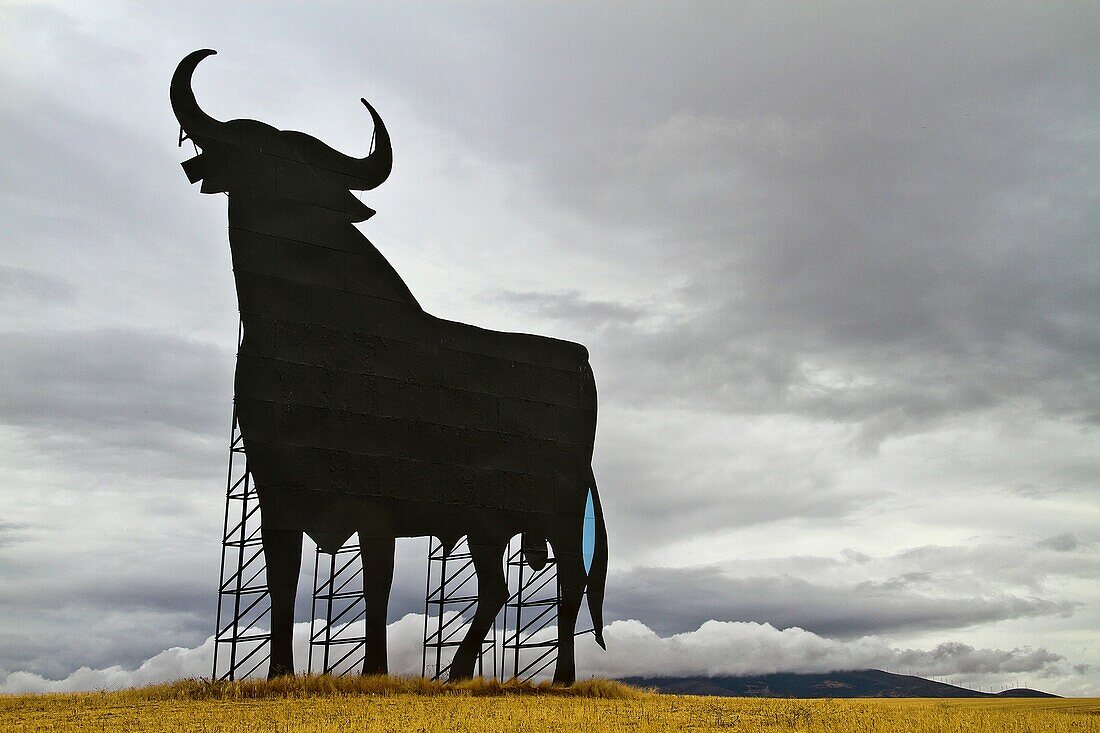 The Obsborne bull, near Villacastin, Castile and Leon, Spain