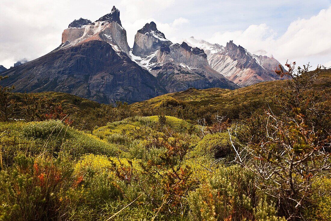 torres paine national park