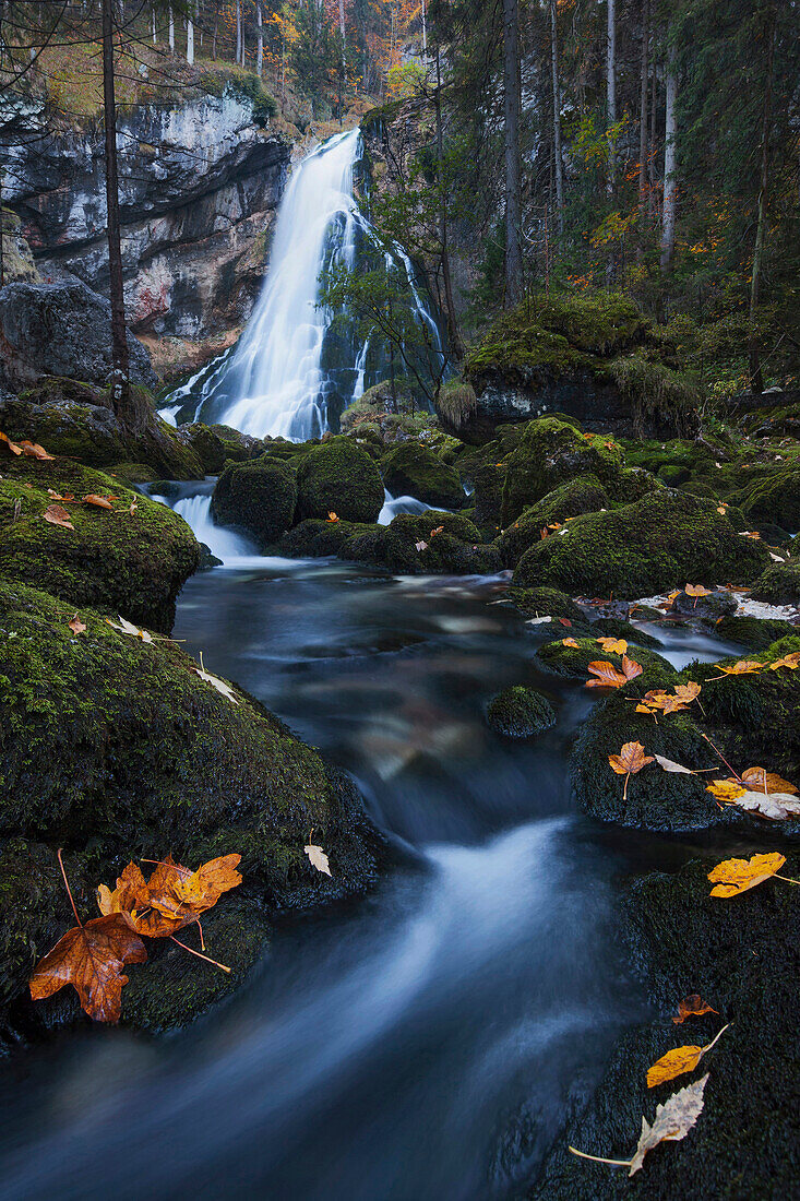 Blick auf den Schwarzbach im Spätherbst mit dem über 25 m hohen Gollinger Wasserfall im Hintergrund, Salzburg, Österreich