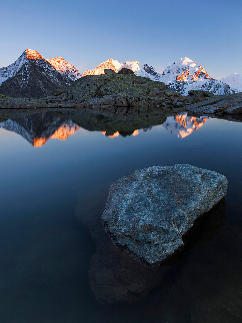 Alpenglow on the summits of Piz Tschierva (3546 m), Piz Morteratsch (3751 m), Piz Bernina (4048 m), Piz Scerscen (3971 m) and Piz Roseg (3987 m) above the Roseg valley, Engadin, Switzerland