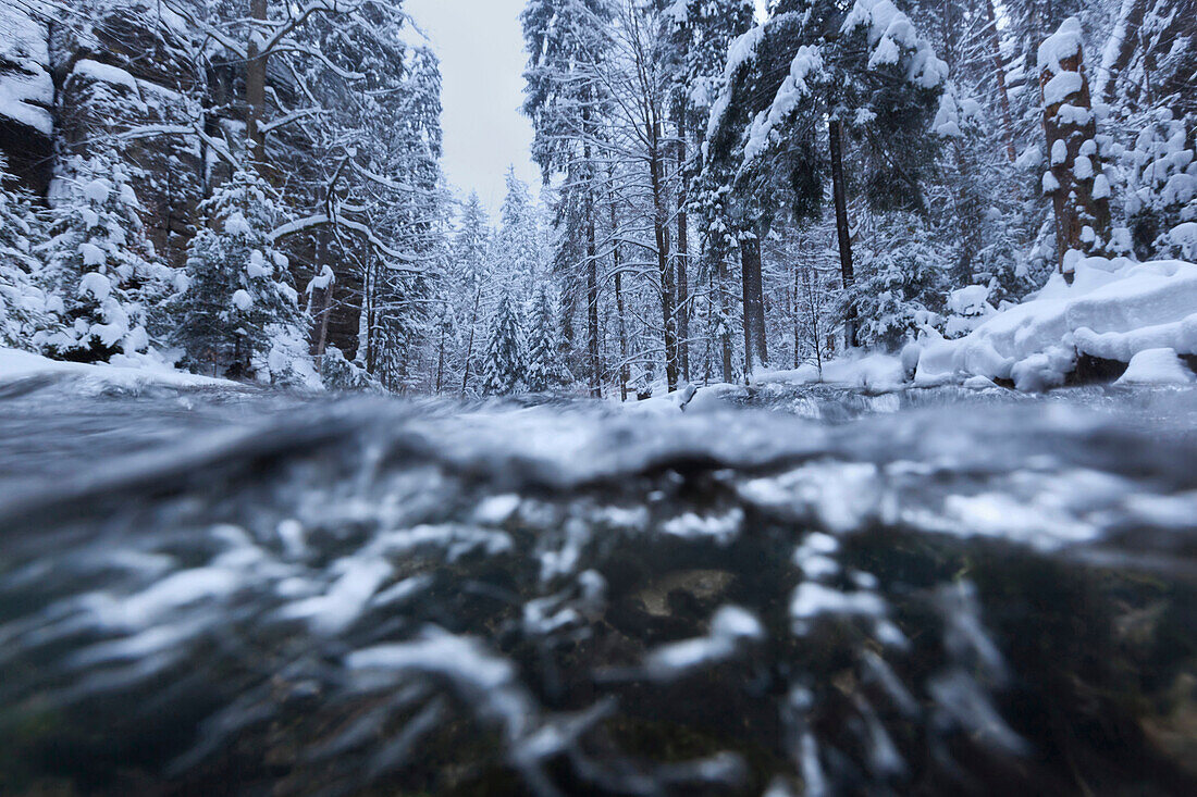 View beneath the water surface of the Kirnitzsch river in the heavily snow covered Saxon Switzerland national park, Saxony, Germany