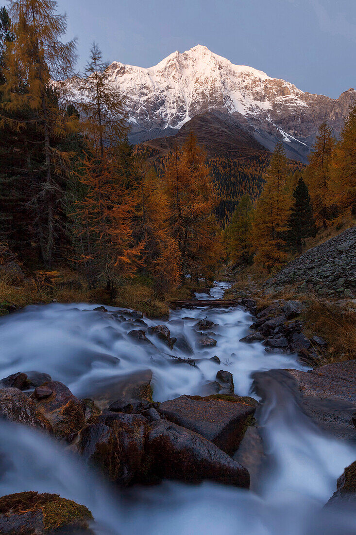First light of the day immerses the Zay Valley and the majestic peaks of the Ortler (3905 m) in soft light, South Tyrol, Italy