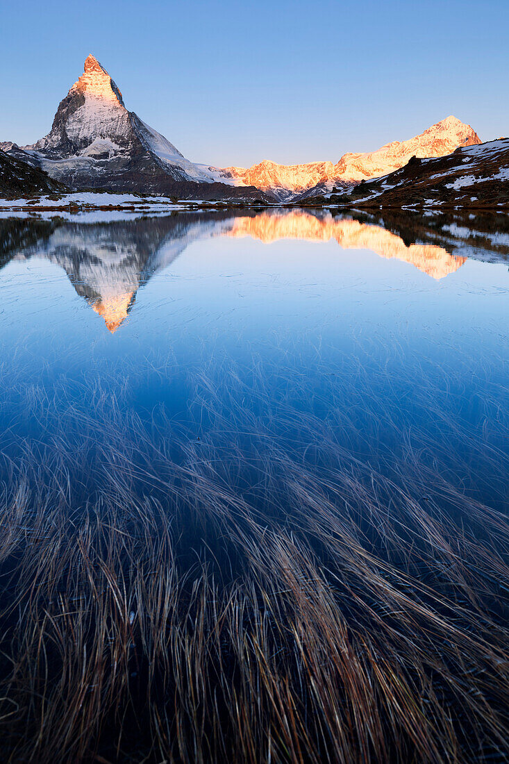 Sonnenaufgang über dem Riffelsee mit Igelgras und Spiegelung des beleuchteten Matterhorns im Herbst, Zermatt, Wallis, Schweiz