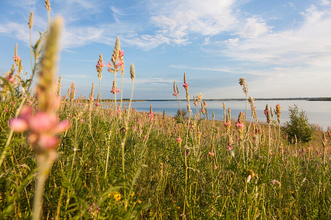 Landschaft am Werbeliner See, Sachsen, Deutschland