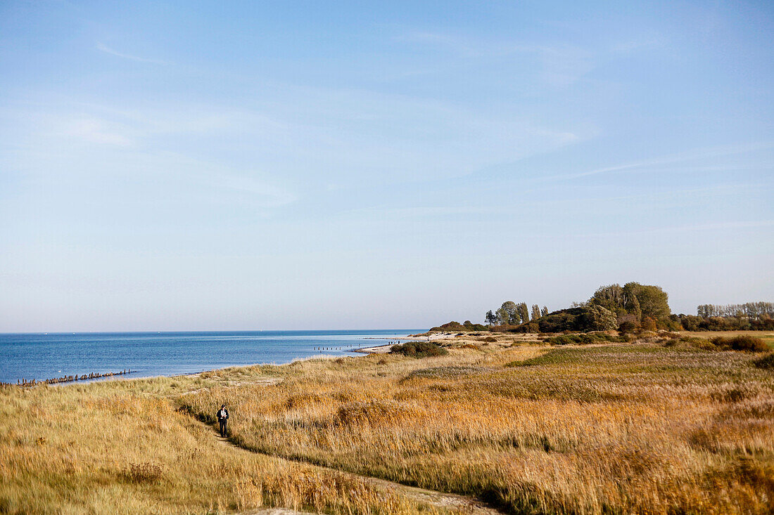 Ostseetrand bei Kägsdorf, Bastorf, Mecklenburg-Vorpommern, Deutschland