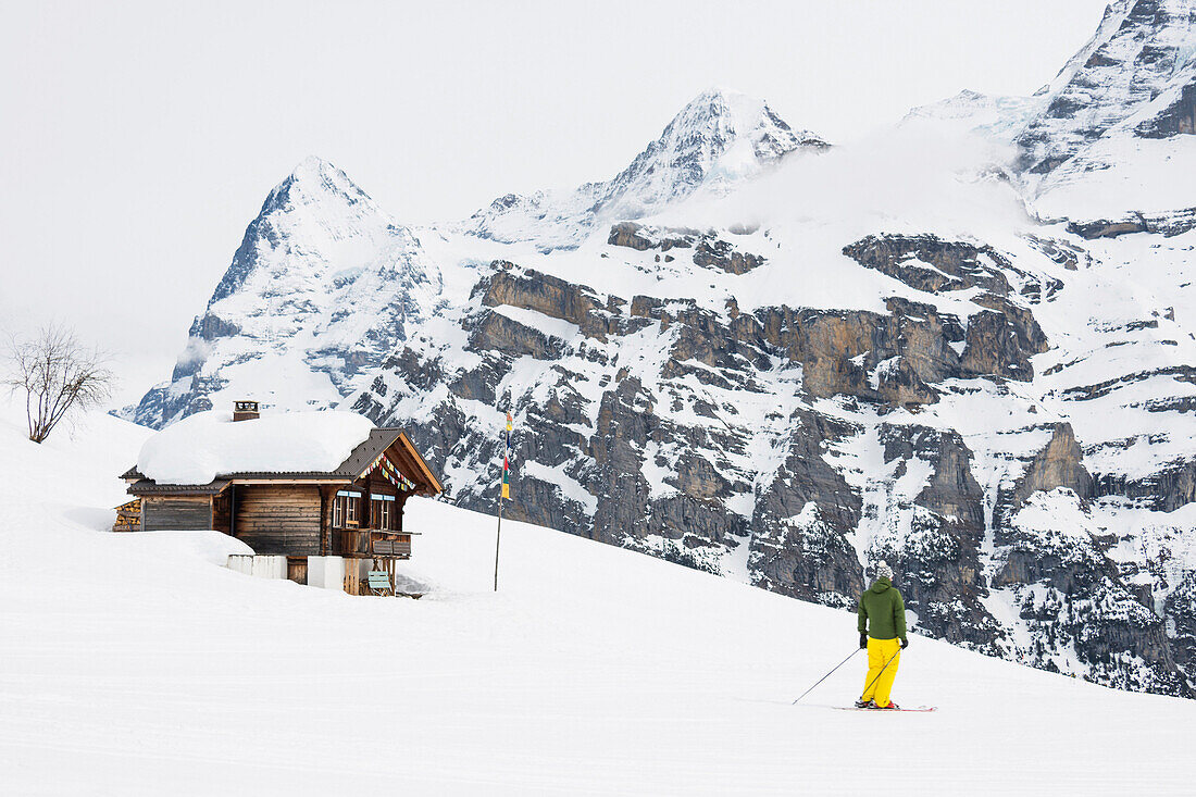 Blockhütten und Bergpanorama, Gimmeln, im Hintergrund der Eiger und der Mönch, Mürren, Berner Oberland, Kanton Bern, Schweiz