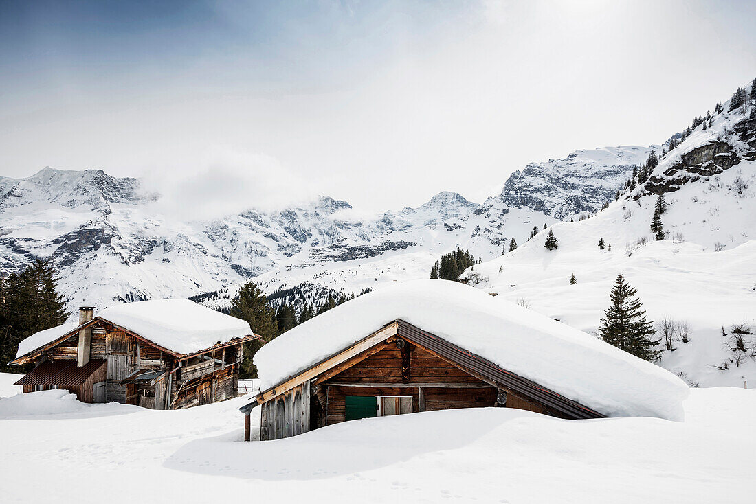 Alpine huts and mountain panorama at Gimmeln, Muerren, canton of Bern, Switzerland