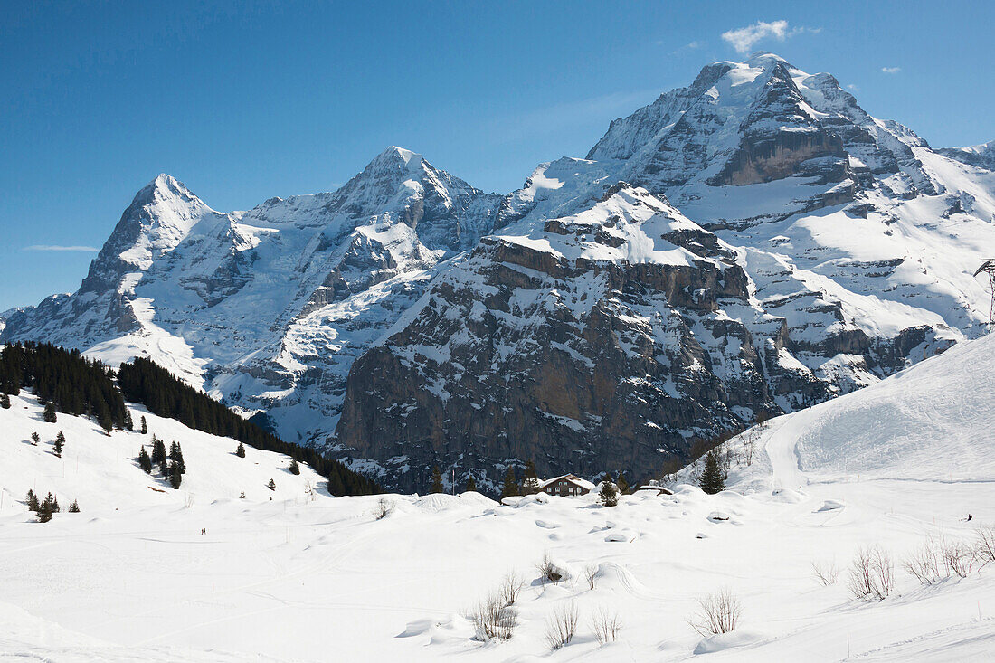 Winterlandschaft mit Mönch Eiger und Jungfrau, Mürren, Berner Oberland, Kanton Bern, Schweiz