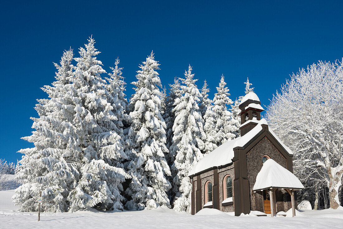 Schneebedeckte Tannen und Kapelle, Schauinsland, nahe Freiburg im Breisgau, Schwarzwald, Baden-Württemberg, Deutschland