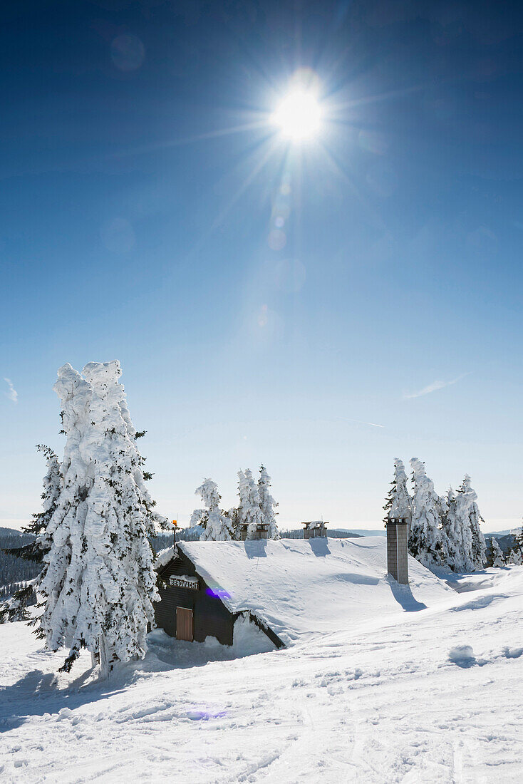 verschneite Tannen und Hütte am Feldberg, Schwarzwald, Baden-Württemberg, Deutschland