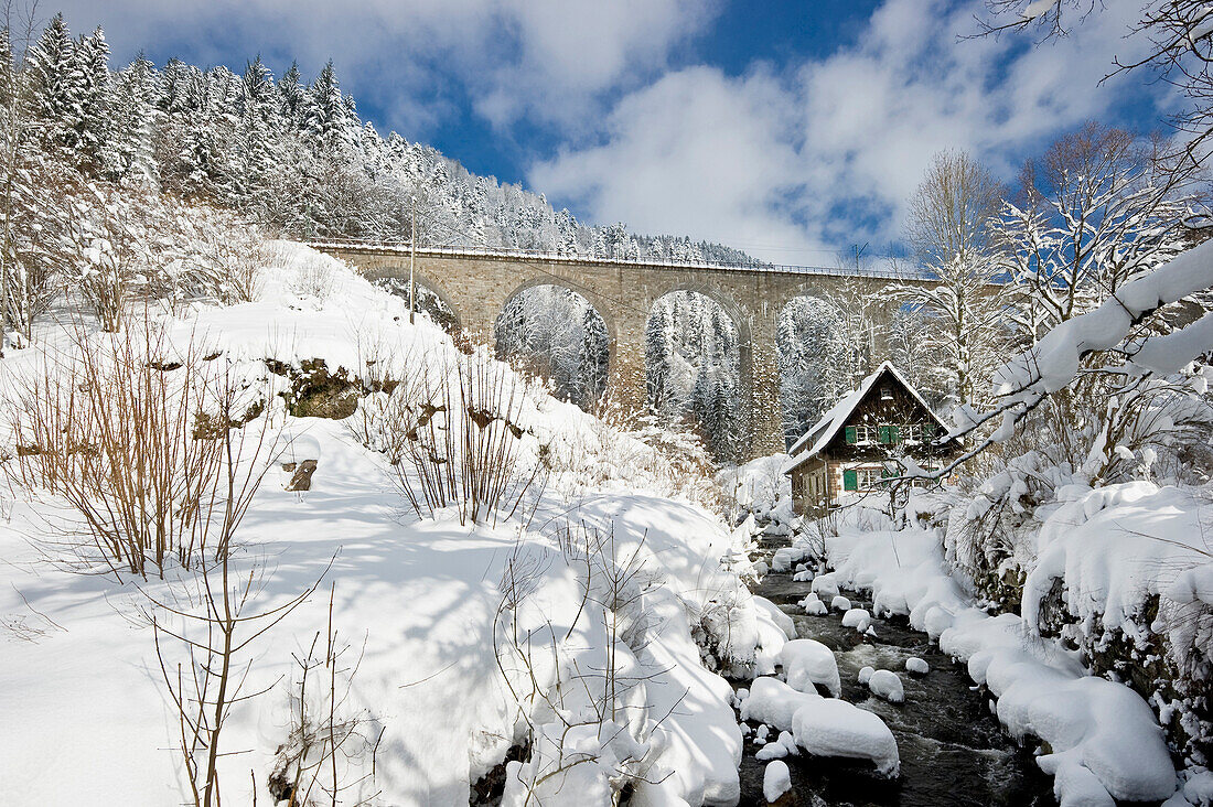 Eisenbahnviadukt an der Ravennaschlucht, nahe Freiburg im Breisgau, Schwarzwald, Baden-Württemberg, Deutschland