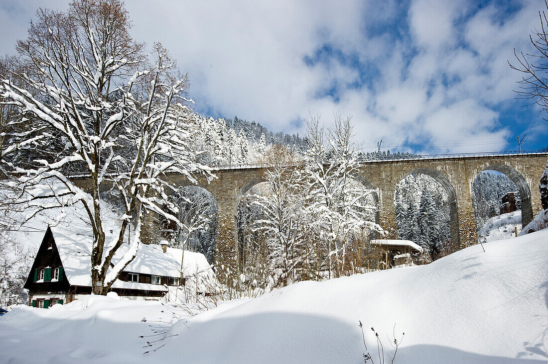 Railway bridge crossing the Ravenna Gorge, near Freiburg im Breisgau, Black Forest, Baden-Wuerttemberg, Germany