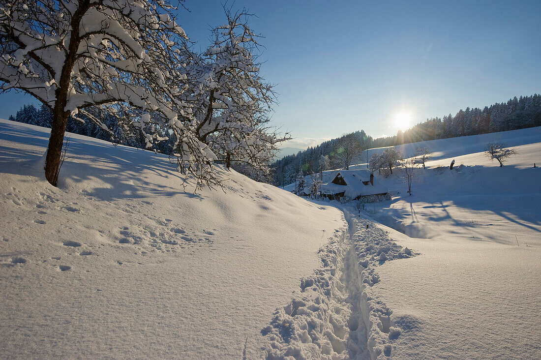 Sonnenuntergang bei St Märgen, Schwarzwald, Baden-Württemberg, Deutschland