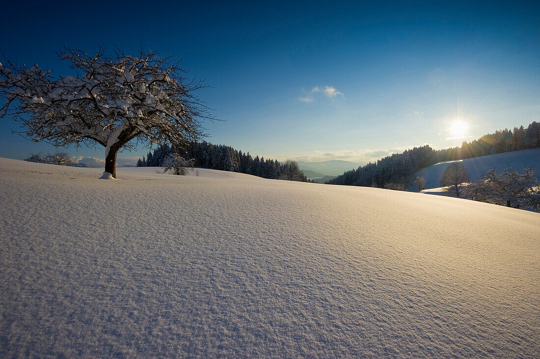 Sonnenuntergang bei St Märgen, Schwarzwald, Baden-Württemberg, Deutschland