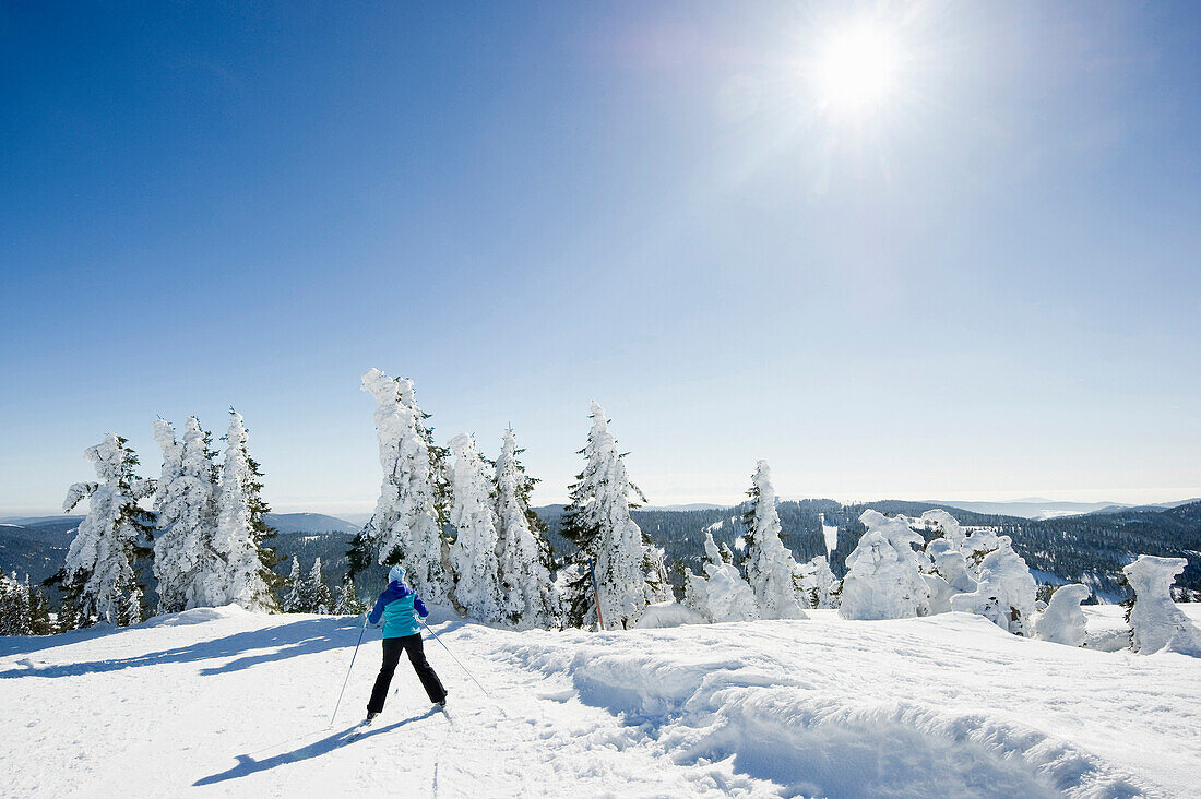 Snow covered fir trees and skier, Feldberg, Black Forest, Baden-Wuerttemberg, Germany