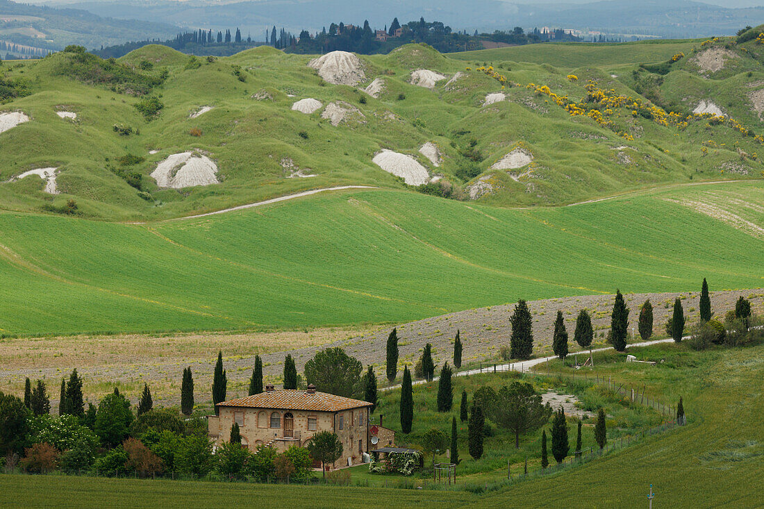 Crete Senesi, typische toskanische Landschaft mit Lehmhügeln und Zypressen, Val d'Orcia, UNESCO Weltkulturerbe, bei Taverne d´Arbia, bei Siena, Provinz Siena, Toskana, Italien, Europa