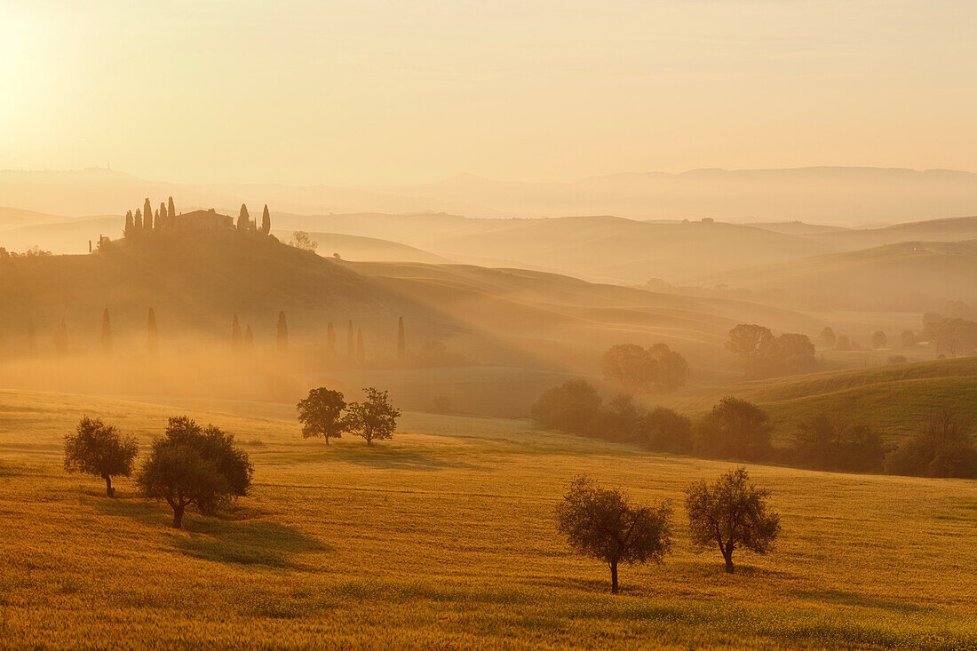 Typical tuscan landscape with hillls, country house and cypresses, near San Quirico d´Orcia, Val d'Orcia, Orcia valley, UNESCO World Heritage Site, Province of Siena, Tuscany, Italy, Europe