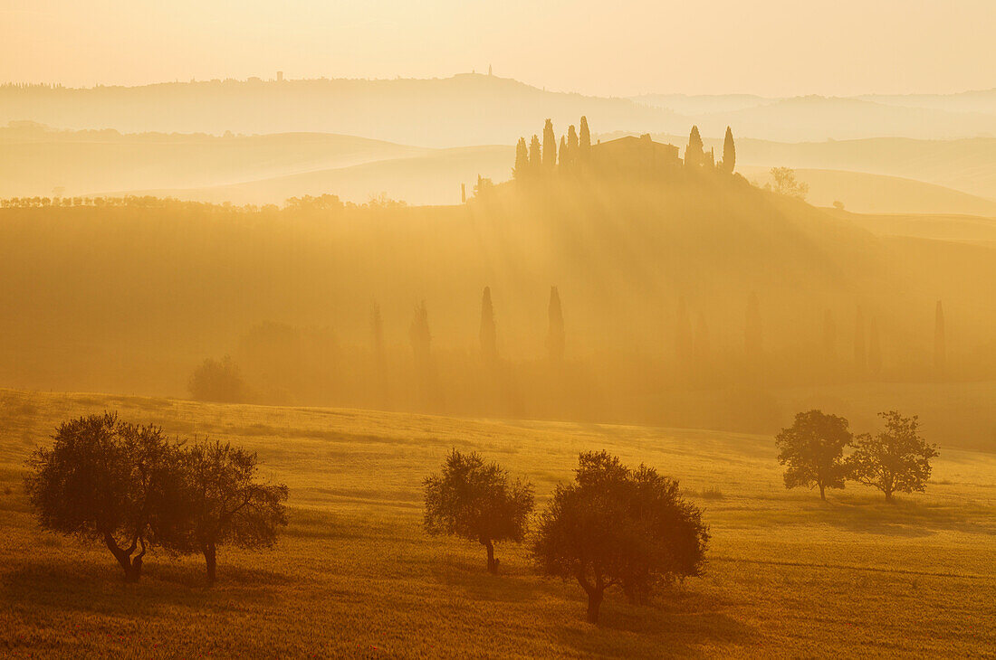 Typical tuscan landscape with hillls, country house and cypresses, near San Quirico d´Orcia, Val d'Orcia, Orcia valley, UNESCO World Heritage Site, Province of Siena, Tuscany, Italy, Europe