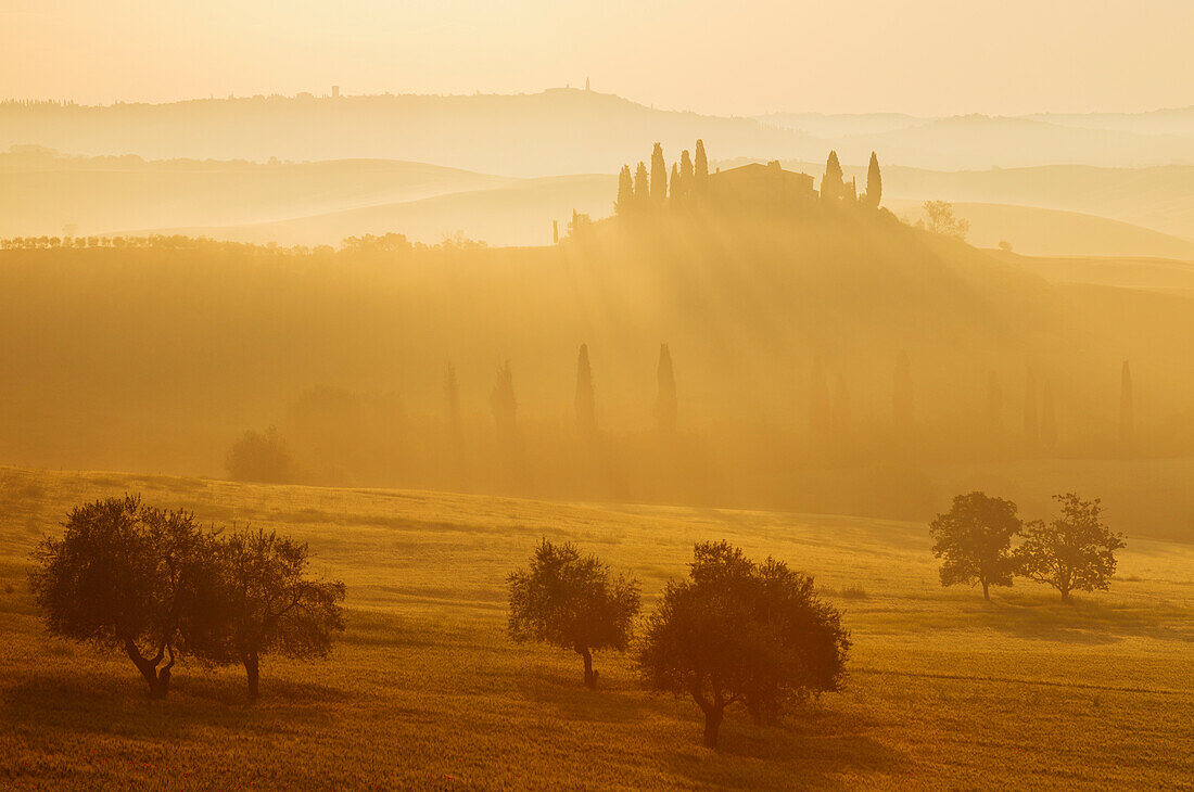 Typische toskanische Landschaft mit Hügeln, Landhaus und Zypressen, bei San Quirico d´Orcia, Val d'Orcia, UNESCO Weltkulturerbe, Provinz Siena, Toskana, Italien, Europa