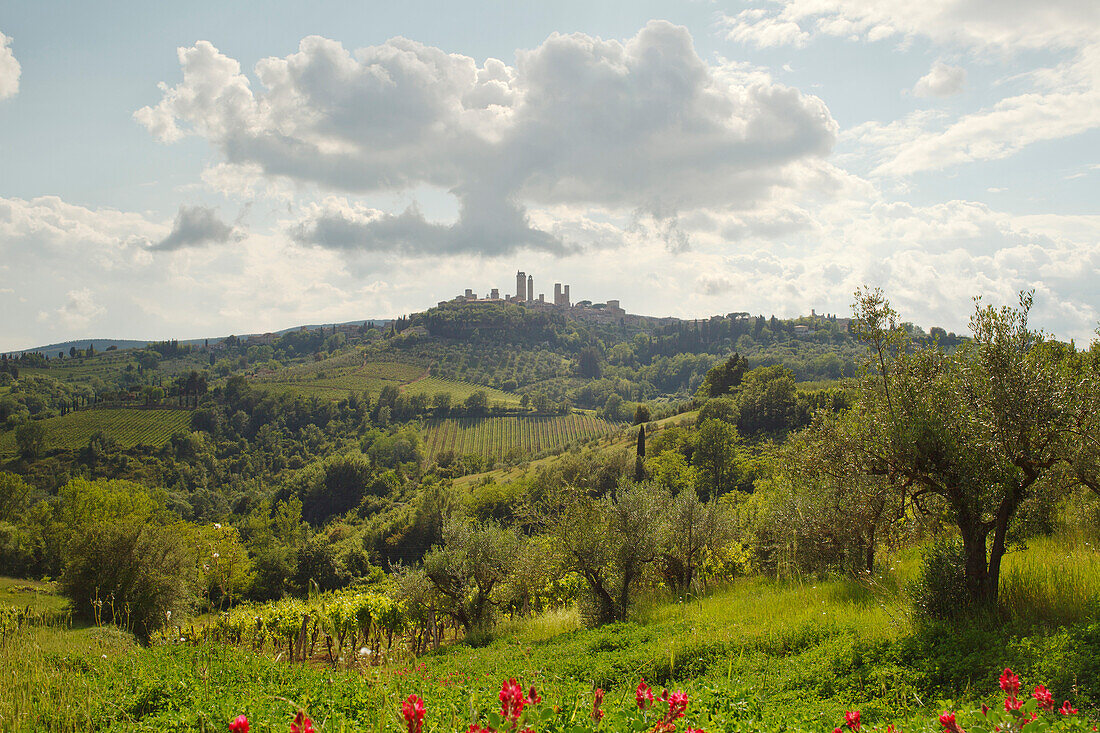 View of the town with towers, San Gimignano, hill town, UNESCO World Heritage Site, province of Siena, Tuscany, Italy, Europe