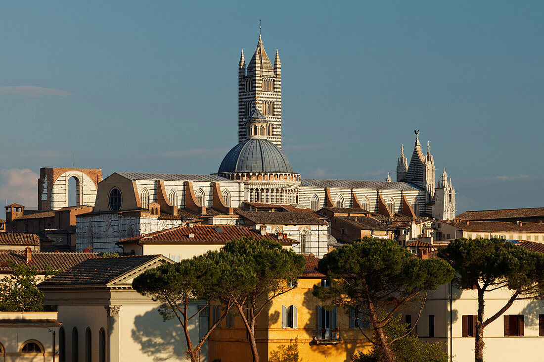 Stadtansicht mit Duomo Santa Maria, Kathedrale, Dom, Siena, UNESCO Weltkulturerbe, Toskana, Italien, Europa