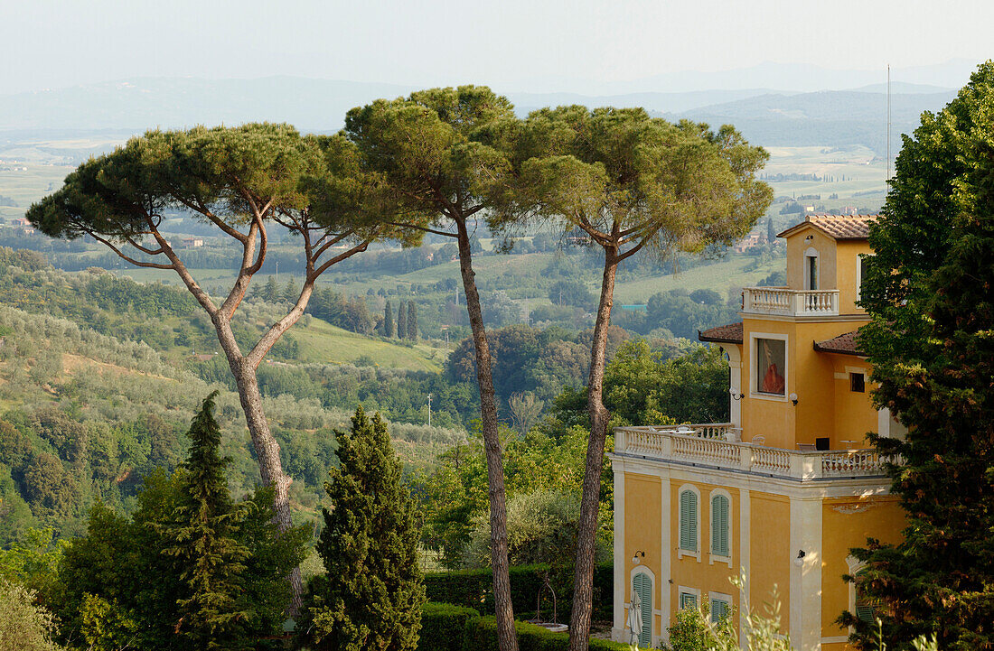 Villa with pine trees, landscape near Siena, Tuscany, Italy, Europe