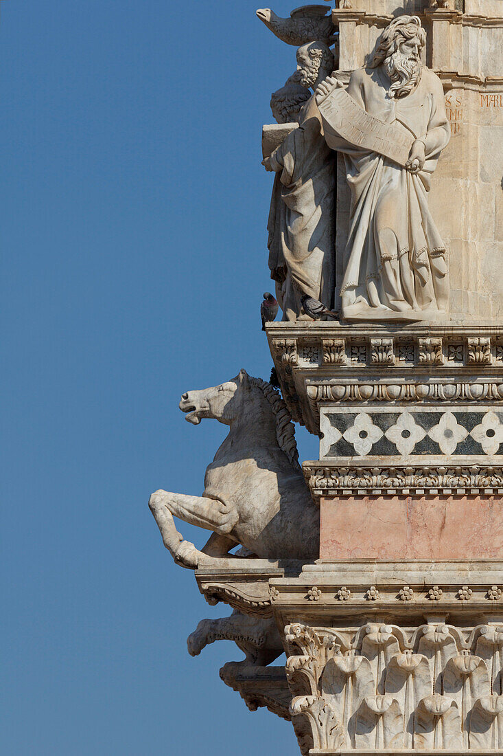 Detail der Fassade des Kathedrals Duomo Santa Maria, Dom, Siena, UNESCO Weltkulturerbe, Toskana, Italien, Europa