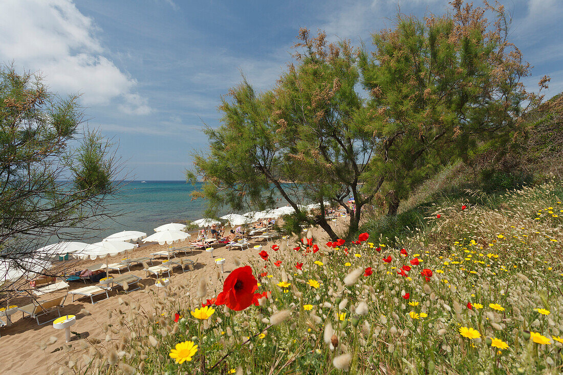 Strand bei Golfo di Baratti, bei Populonia, Mittelmeer, Provinz Livorno, Toskana, Italien, Europa