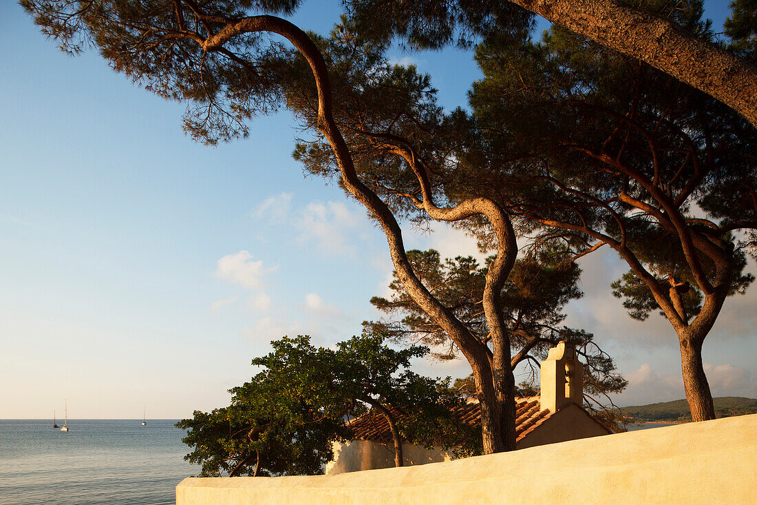 Chapel behind pine trees along the coast of Golfo di Baratti, near Populonia, Mediterranean Sea, province of Livorno, Tuscany, Italy, Europe