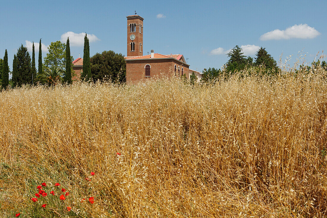 Feld, Zypressen und Kirche im Hintergrund, Roselle, Provinz Grosseto, Toskana, Italien, Europa