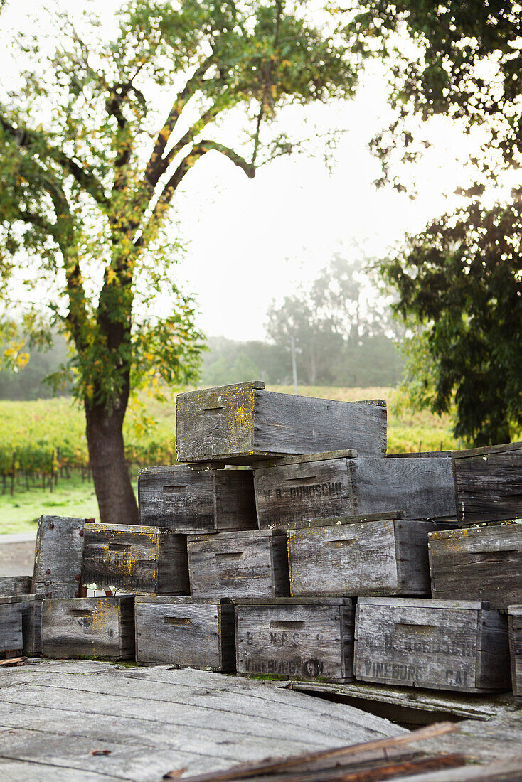 USA, California, Gundlach Bundschu Winery, weathered wine boxes stacked on the back of an old truck