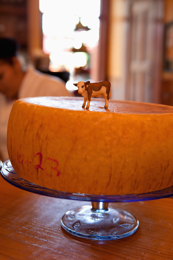 USA, California, Sonoma, a wheel of cheese at The Girl and the Fig restaurant