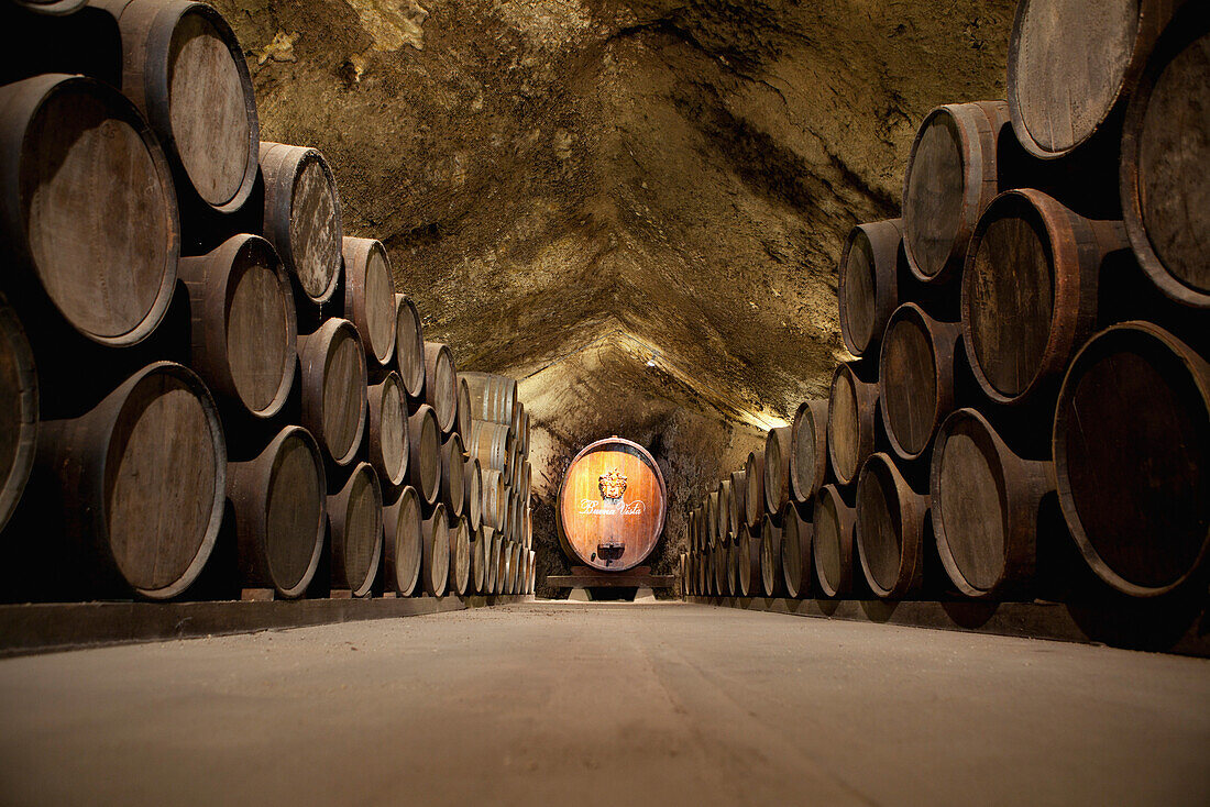 USA, California, Sonoma, Buena Vista Carneros winery, the oldest premium winery, a cave built in 1857