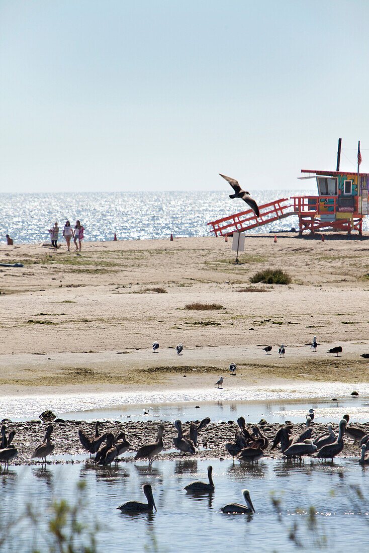 USA, California, Malibu, USA, a view of Surfrider Beach from the Adamson House near the Malibu Pier