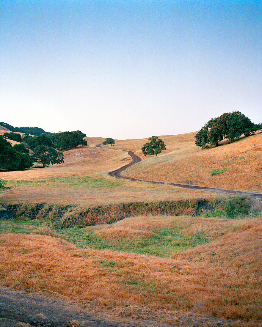 USA, California, Point Reyes Station, oak covered hillside landscape, Hwy 1