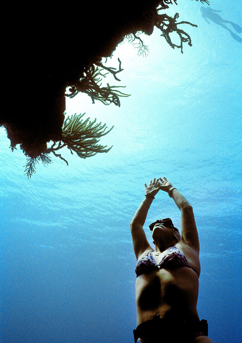 CAYMAN ISLANDS, Caribbean, woman freediver swimming to surface, Grand Cayman