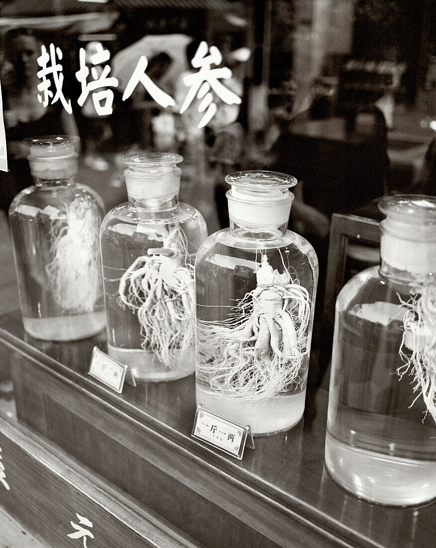 CHINA, Hangzhou, Chinese Ginseng herbs in bottles at dispensary
